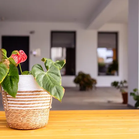 Pagani Blue - Luxury Maisonette B3 Apartament *